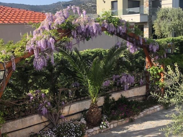 Aegean Villas بوتوس المظهر الخارجي الصورة
